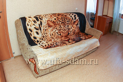 Раскладной диван в гостиной